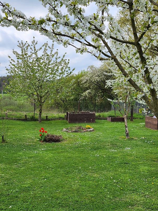 Blick in den Garten mit freier Sicht nach Westen