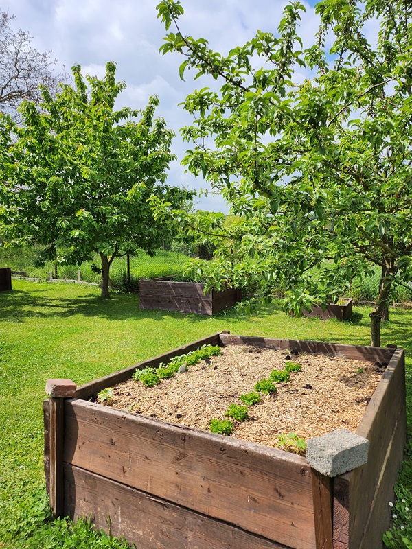 Garten mit Hochbeet