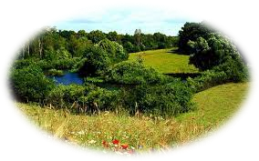 Landschaft mit Hügeln in der Schorfheide Chorin