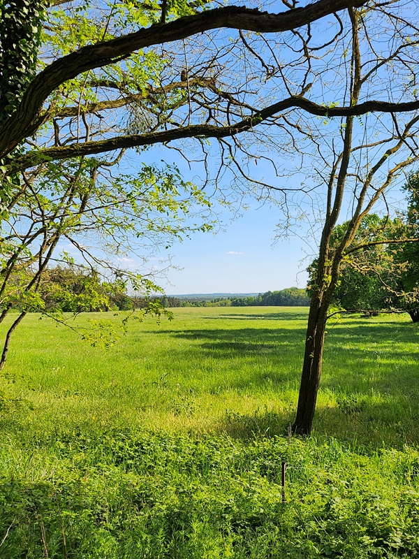 Schlichtes Feld in Chorin