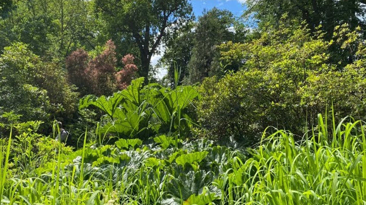 Ausflugsziel Forstbotanischer-Garten Eberswalde
